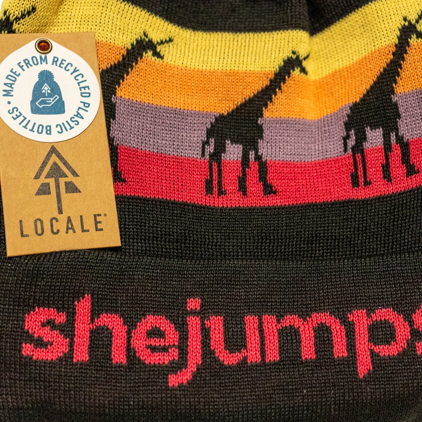 SheJumps Pom Beanie